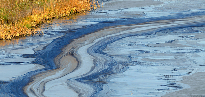 Hazardous substances in the water along a shoreline