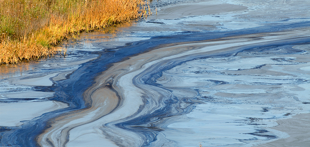 water with oil near shoreline