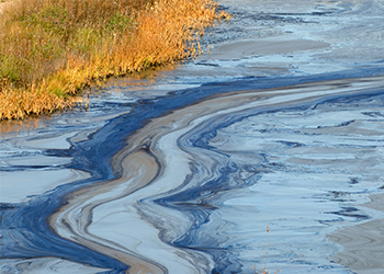 oil in water near shoreline